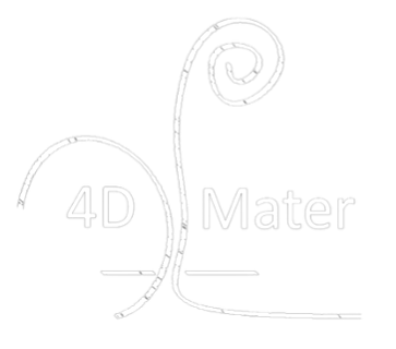 4D MATTER
